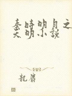 秦时明月之夜尽天明小说