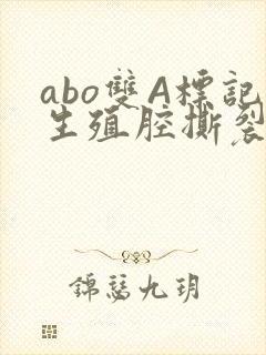 abo双A标记生殖腔撕裂