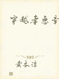 穿越孝惠章皇后