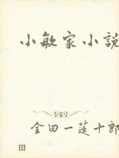 小敏家小说