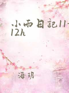 小雨日记11-12h