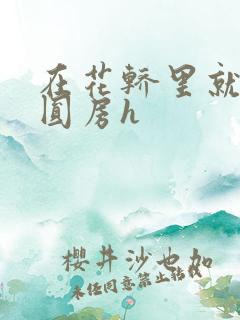 在花轿里就开始圆房h