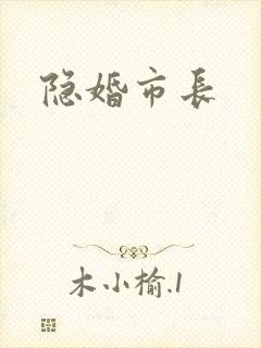 隐婚市长