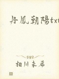 丹凤朝阳txt