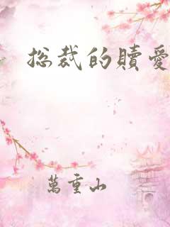 总裁的赎爱宝贝