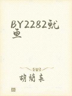 BY2282鱿鱼