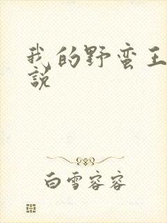 我的野蛮王妃小说