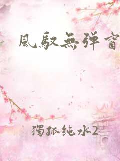 风驭无弹窗