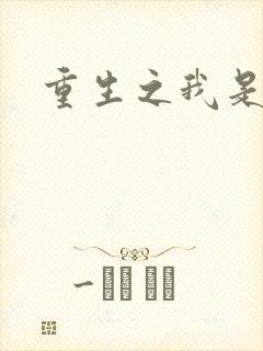 重生之我是刘备