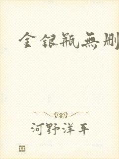 金银瓶无删除