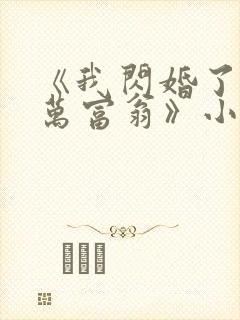 《我闪婚了个亿万富翁》小说