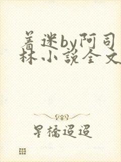 着迷by阿司匹林小说全文免费阅读