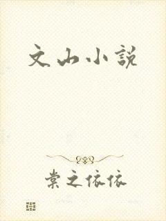 文山小说