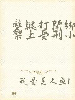 双腿打开绑在刑架上受刑小说