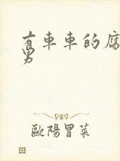 有车车的腐肉双男