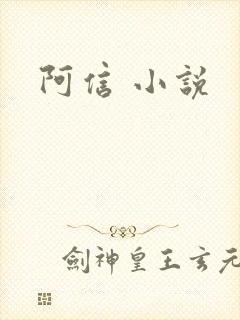 阿信 小说