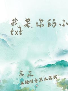 我是你的小小狗txt