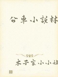 公车小说林蔓蔓