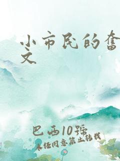 小市民的奋斗燃文