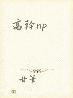 高干np
