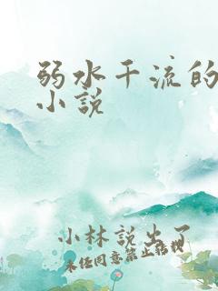 弱水千流的全部小说