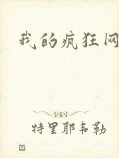 我的疯狂网游史