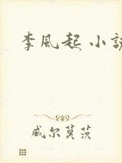 李风起 小说