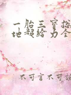 一胎三宝总裁爹地超给力全文免费阅读