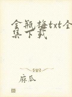 金瓶梅txt全集下载