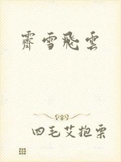 霁雪飞云