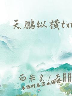 天鹏纵横txt