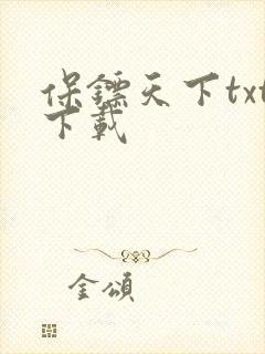 保镖天下txt下载