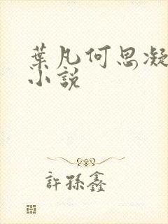 叶凡何思凝七月小说