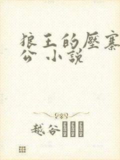 狼王的压寨小相公 小说