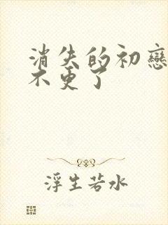 消失的初恋为啥不更了