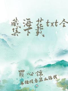 藏海花txt全集下载