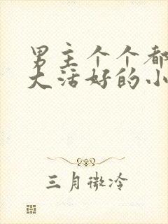 男主个个都是器大活好的小说