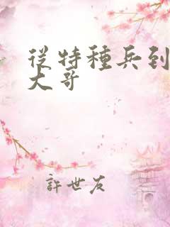 从特种兵到黑道大哥