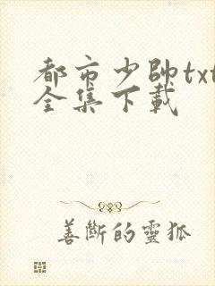 都市少帅txt全集下载
