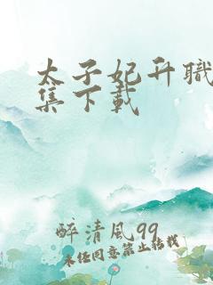 太子妃升职记全集下载