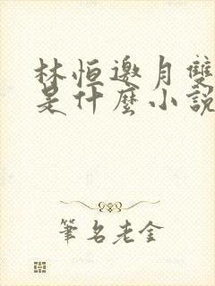 林恒邀月双胞胎是什么小说