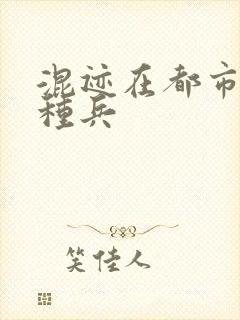 混迹在都市的特种兵