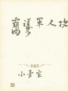 霸道军人攻现代肉多