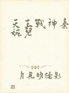 天王战神秦武林婉儿