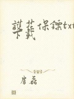 护花保镖txt下载