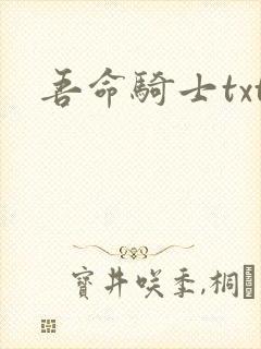 吾命骑士txt