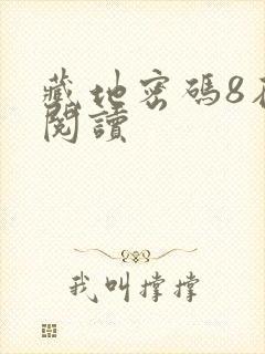 藏地密码8在线阅读