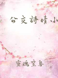 公交诗晴小说