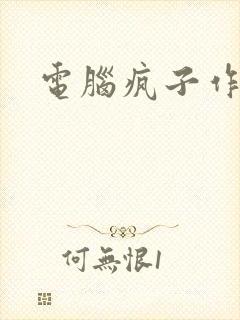 电脑疯子作品