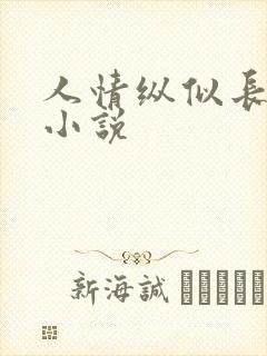 人情纵似长情月小说